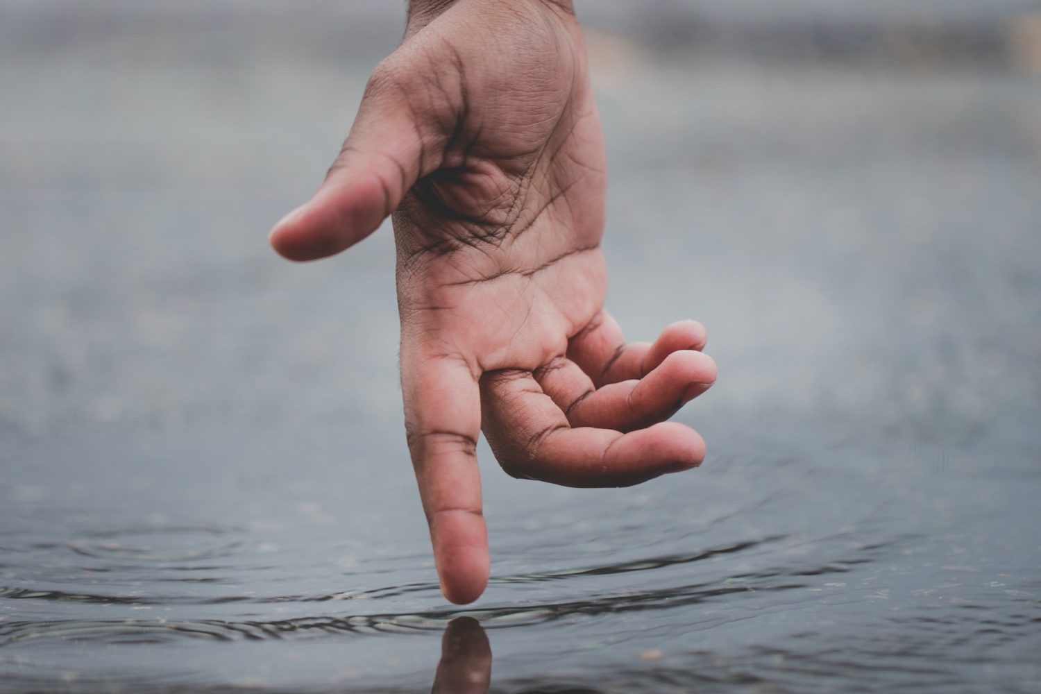 Konsulentbistand og Supervision Konsulentbistand og Supervision